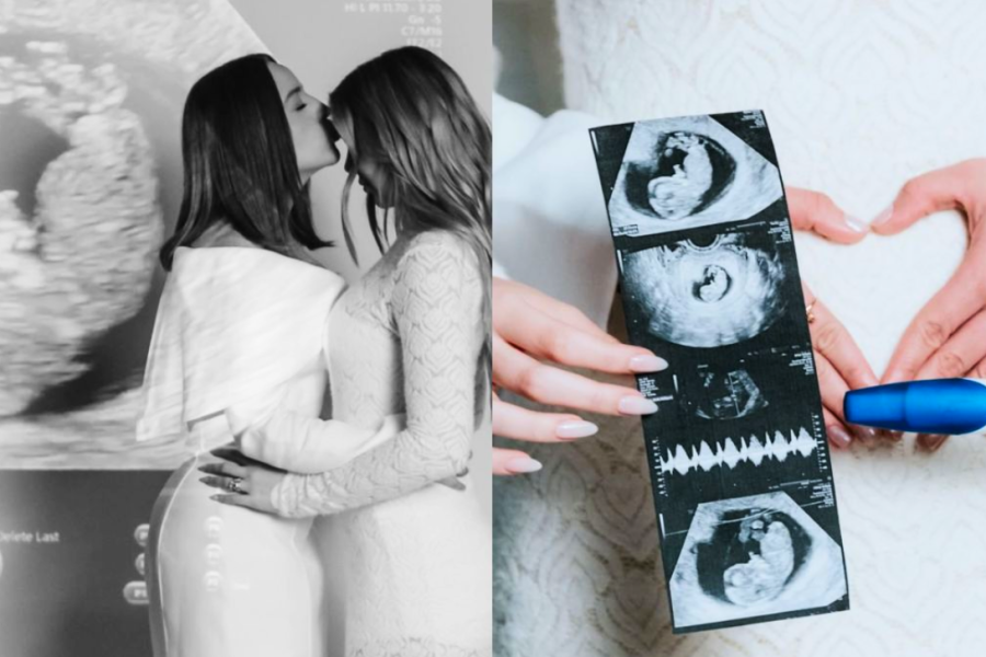 Mari Fernandez e Júlia Ribeiro anunciam que estão esperando um